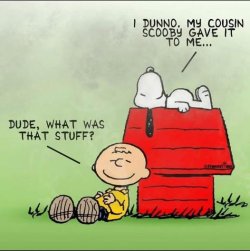 snoopy scooby.jpg