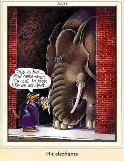 hit elephants.jpg