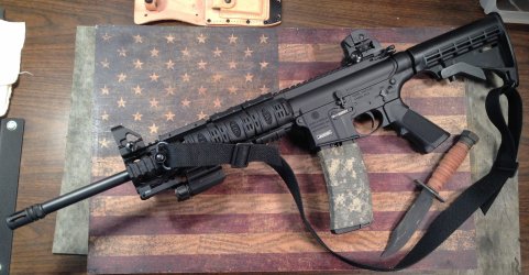 S&W M&P 15-22 11.jpg
