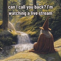 watch-live-stream.jpg