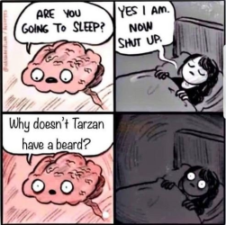 1746313062428.png