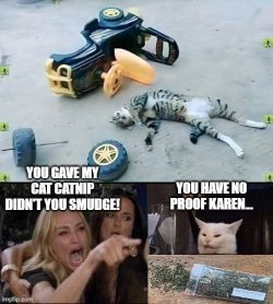 smudge catnip.jpg