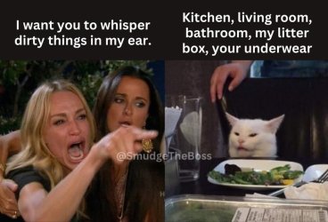 smudge dirty.jpg