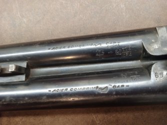 Shotgun-2.jpg