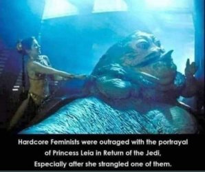 feminists and leia.jpeg