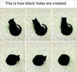 black holes.jpeg