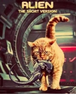 alien short version.jpeg