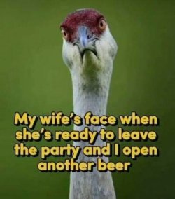 wife.jpg