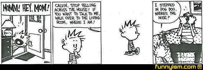 Calvin3.jpg