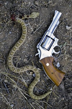 Model 67 v Snake.jpg