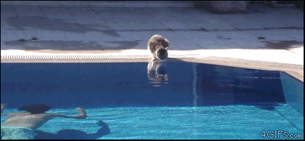 1746476135074.gif
