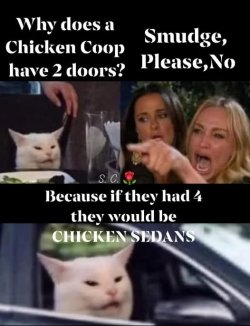 smudge chicken coop.jpg