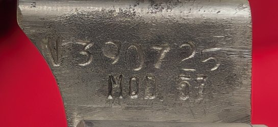 PXL_20250506_224757869.jpg