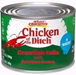 chicken of the ditch.jpg