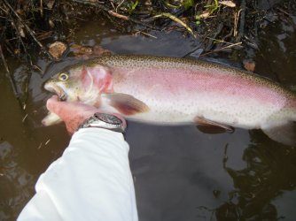 Monster Rainbow 5-8-2025 Apperson.JPG