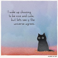 Cat moods.jpg