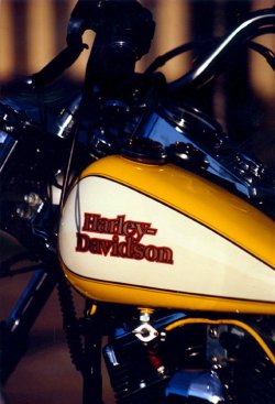 Harley1.jpg