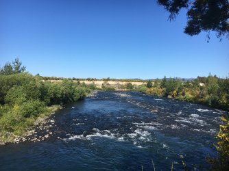 IMG_1059.jpeg