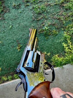 IMG_5700.jpeg