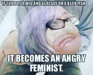 angry feminist.jpeg