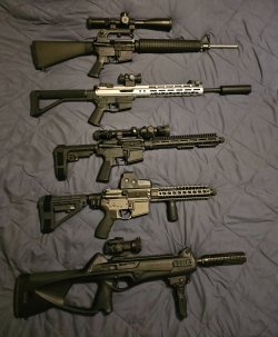 20250303_120536.jpg
