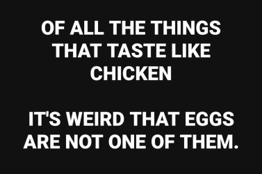 eggs-taste-like-chicken.jpg
