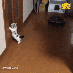 iCbxqbOX_o.gif