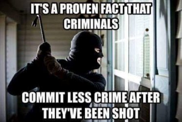 criminals.jpg