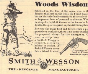SW woods2.JPG