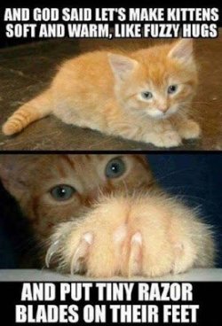 FUZZY.jpg
