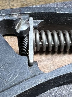 IMG_4517.jpeg