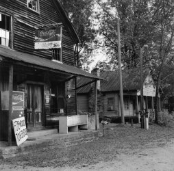 Georgia Store.jpeg
