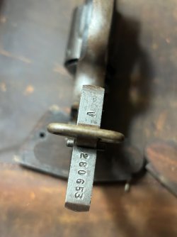 IMG_3336.jpeg