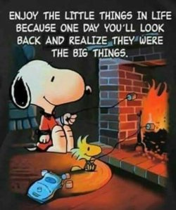 snoopy little things.jpg