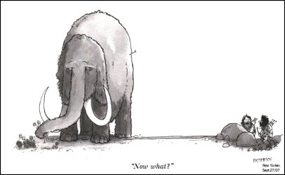 Now what?.jpg