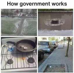 how govt works.jpeg