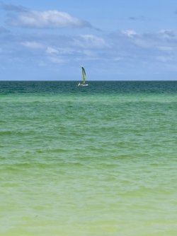 IMG_5039.jpeg