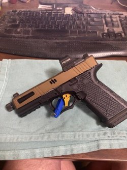 OPTIC and SIGHTS INSTALLED.JPG