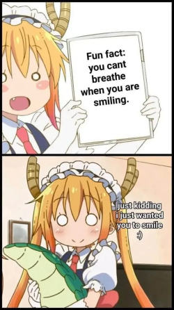 1747683209879.png