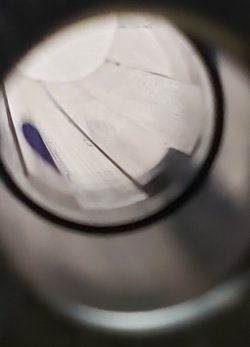 20200731_190410.jpg