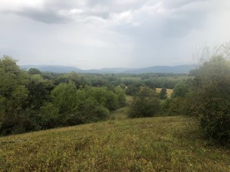 IMG_9262.jpeg