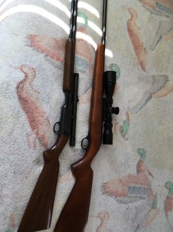 mod61wa.JPG