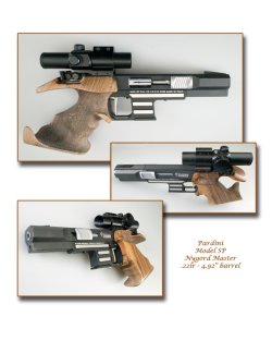 Pardini SP comp.jpg