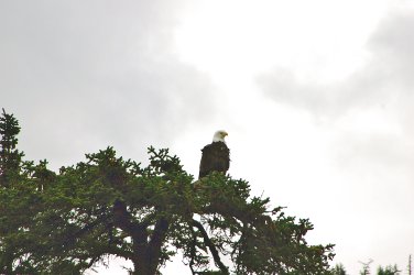 IMGP1517.jpg