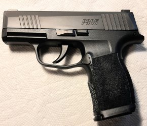 P365x.jpg
