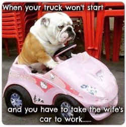 truck-wont-start-wifes-car-to-work-dog.jpg