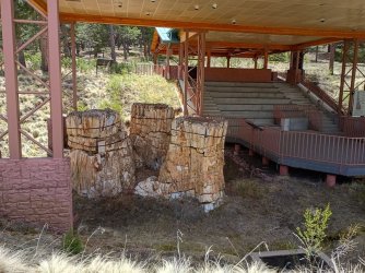 petrified-redwood-trio-Florissant.jpg