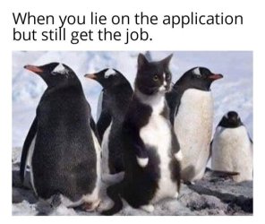 application.jpg