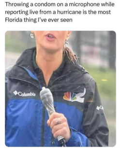 1728642293310.png