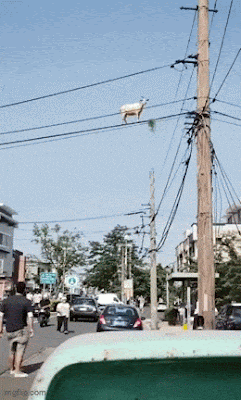 1000003451.gif